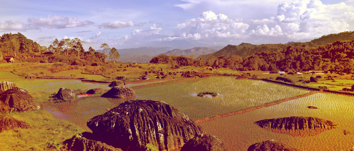 Auf dem Weg nach Tanah Toraja