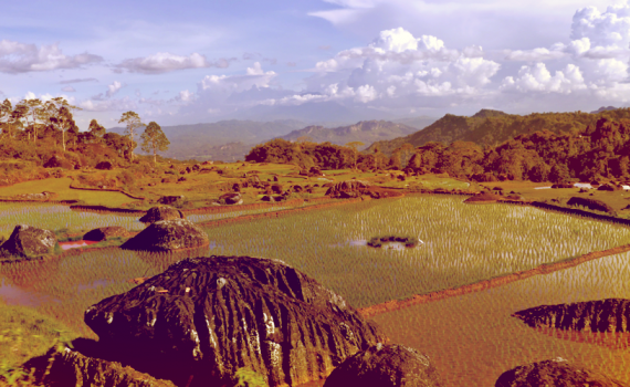 Auf dem Weg nach Tanah Toraja