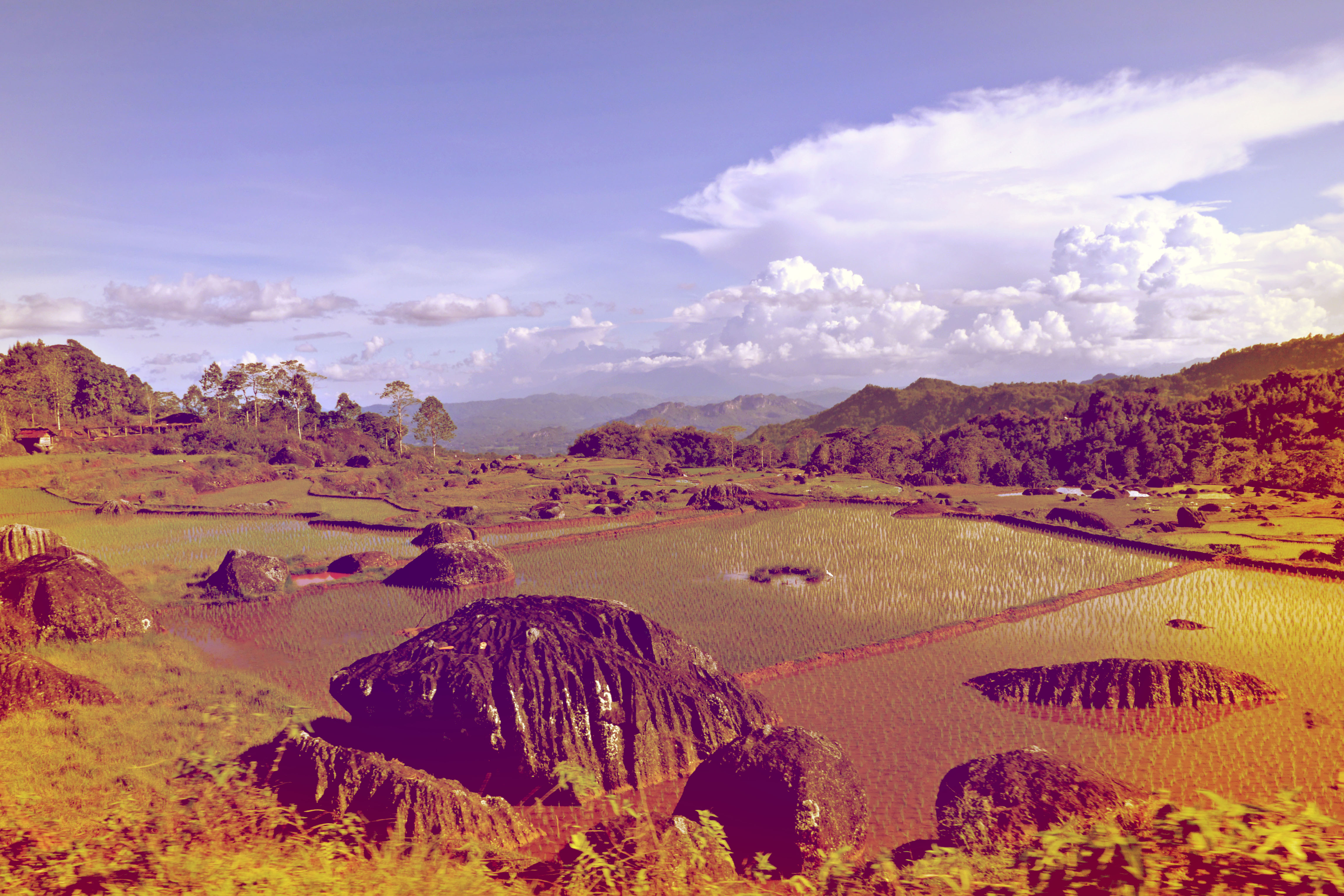 Auf dem Weg nach Tanah Toraja