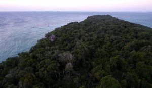 Der Jungle auf Chumbe Island vom Leuchtturm aus