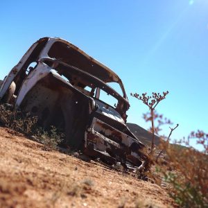 "Käfer in the Desert" | Namibia