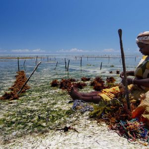 "Woman of Matemwe 02" | Tanzania